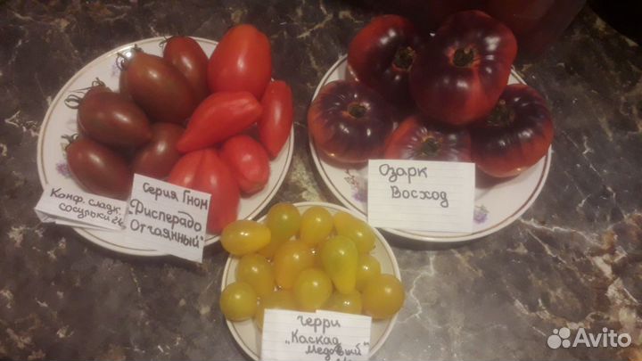 Семена томатов сортовые