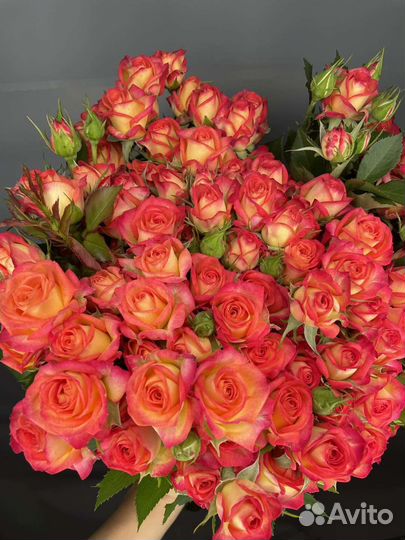 Кустовые розы. красивые букеты. доставка цветов