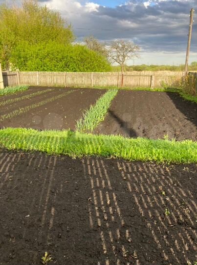 Дом 80 м² на участке 20 сот.