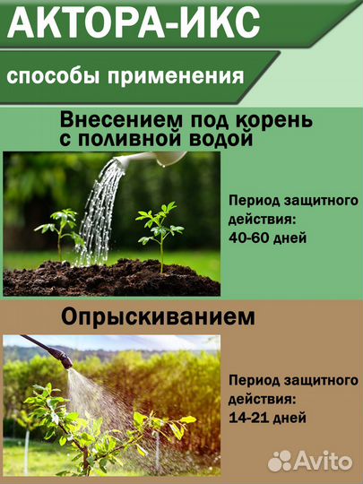 Актора Икс 100г. средство от клопов и тараканов