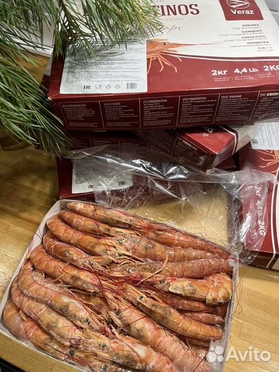 Лангустины креветка L1, L2