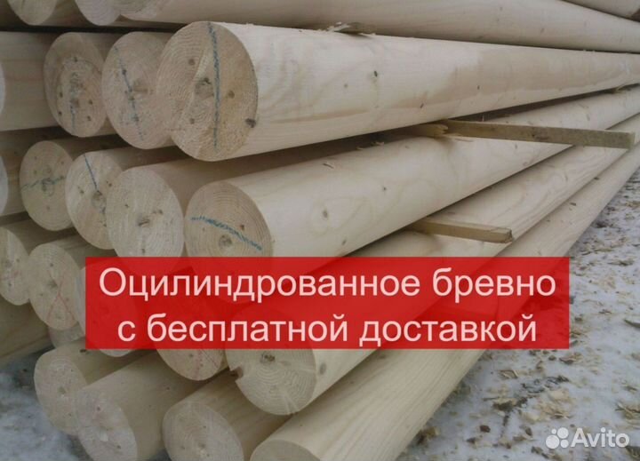 Сосна оцилиндрованная