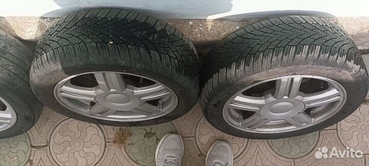 Торусы r15