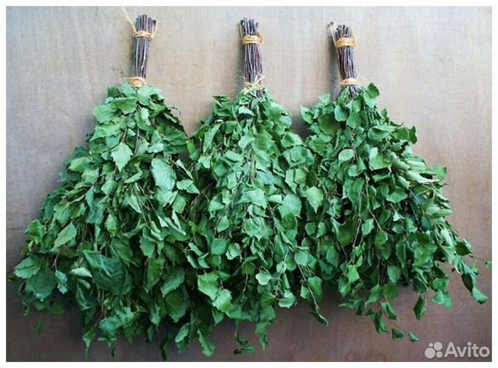 Берёзовые банные веники