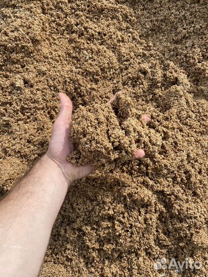 Пивная дробина