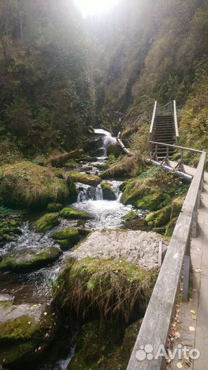 Тур Горный Алтай.Трансфер