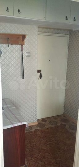 1-к. квартира, 37,1 м², 2/3 эт.