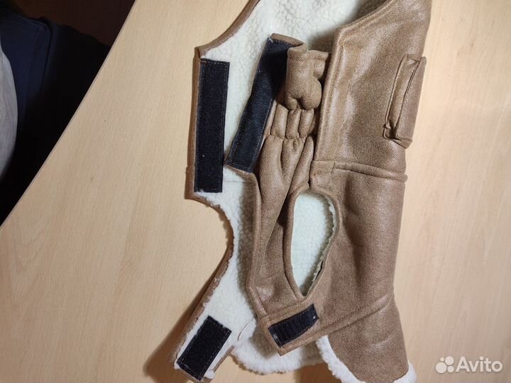 Костюм для маленькой собаки