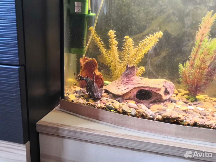 Аквариум