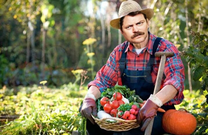 Участок 62 га (СНТ, ДНП)