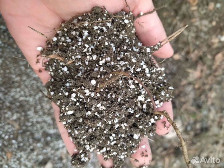 Агроперлит