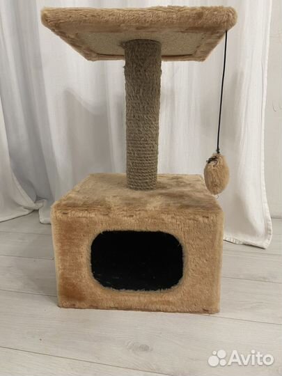 Когтеточка домик для кошки котенка