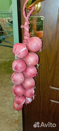 Искусьвенные растения
