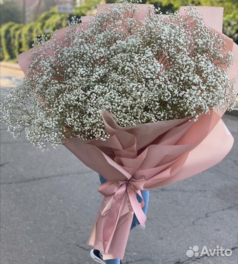 Белая Гипсофила. Доставка/Самовывоз