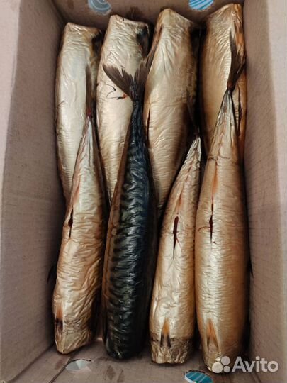 Рыба на дом