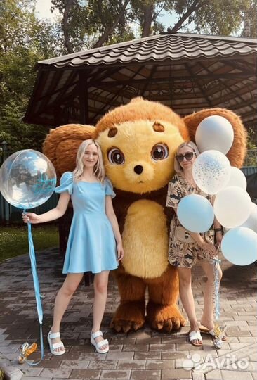 Чебурашка поздравление / зайка / Ростовой Мишка