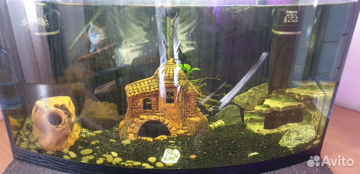 Аквариум