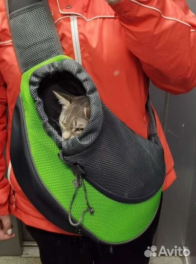Сумка слинг для переноски животных L