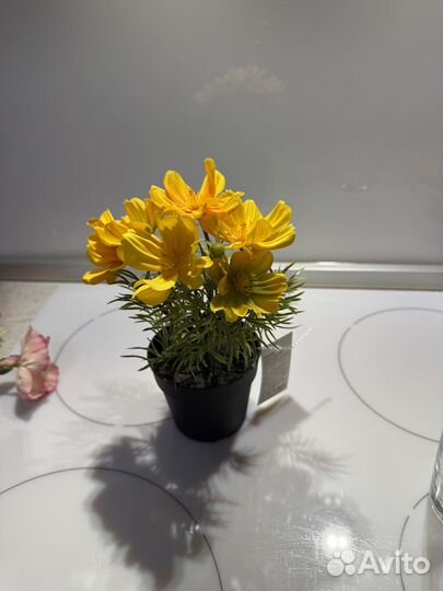 Искусственное растение в горшке IKEA Фейка, космея