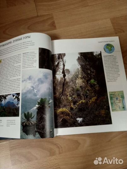 Книга. Планета чудес и загадок