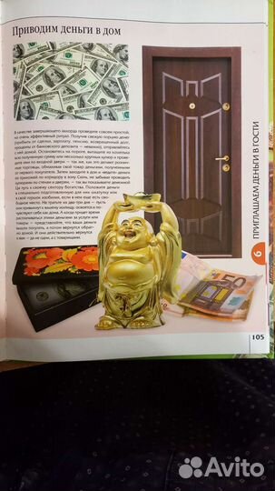 Фен-шуй Подарочный экземпляр