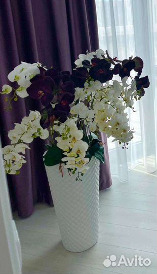 Орхидея композиция