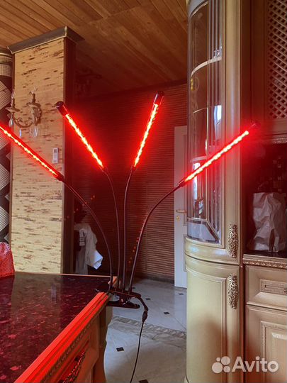 Фитолампа для растений