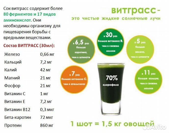 Фреш из молодых проростков пшеницы, Витграсс