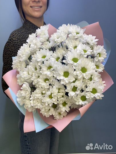 Цветы оптом Хризантемы ромашки