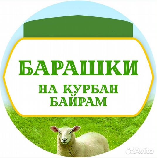 Барашки на Курбан байрам