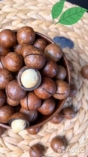 Макадамия высший сорт зеленый лист Орех Макадамия