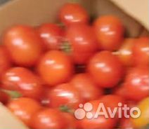 Помидоры