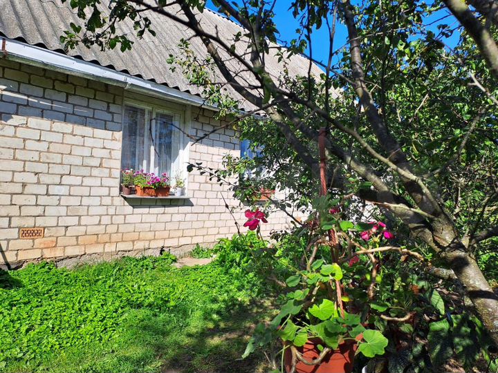 Дом 80 м² на участке 4 га