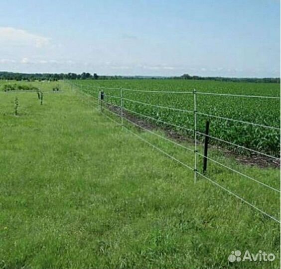 Защита посевов, пастбищ от бродячего скота