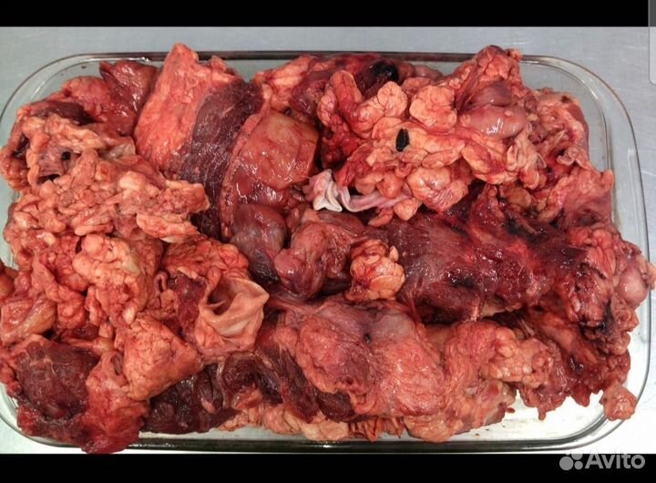 Мясное основание бычьего корня для собак