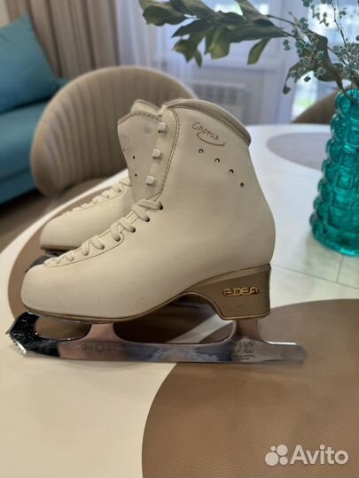 Фигурные коньки Edea chorus 235