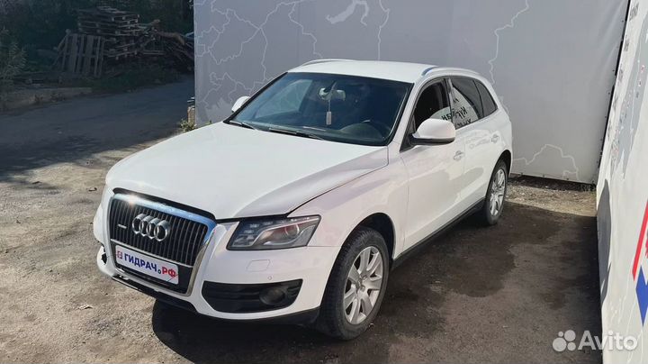 Дефлектор воздушный центральный Audi Q5 (8R) 8R1820951gwvf