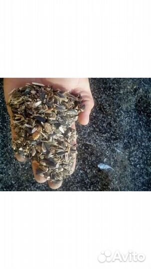 Отходы семечки