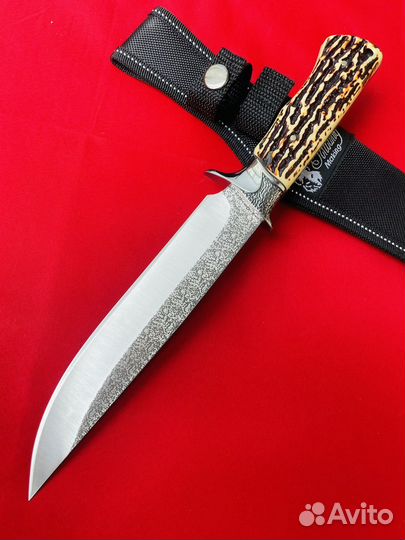 Нож охотничий Columbia SA45