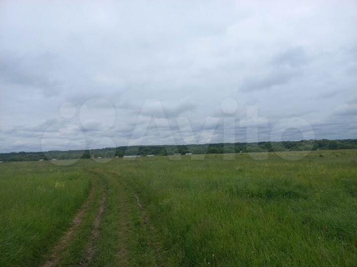 Участок 10 сот. (СНТ, ДНП)