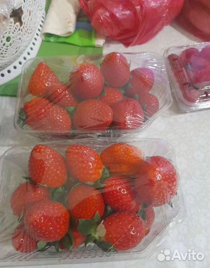 Саженцы клубники