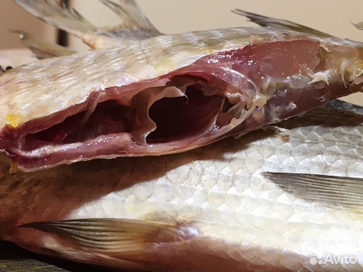 Цимлянская рыбка (вялка)