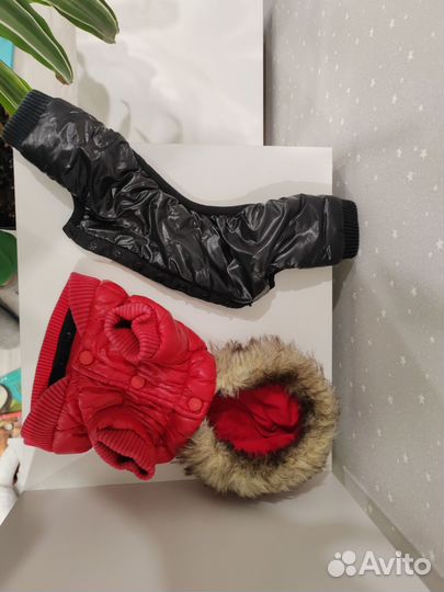 Комбинезон, куртка для маленькой собаки