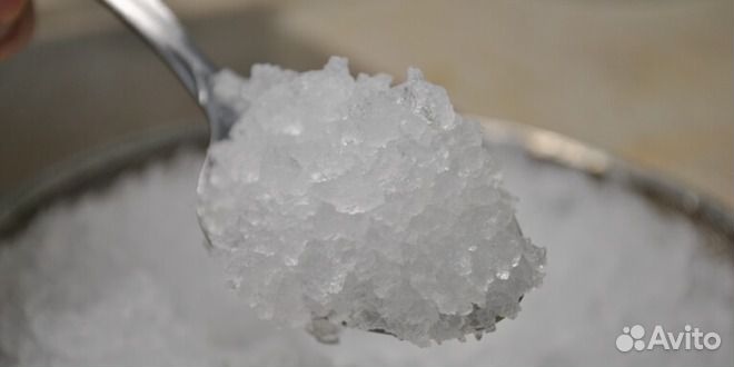 Индийский морской рис