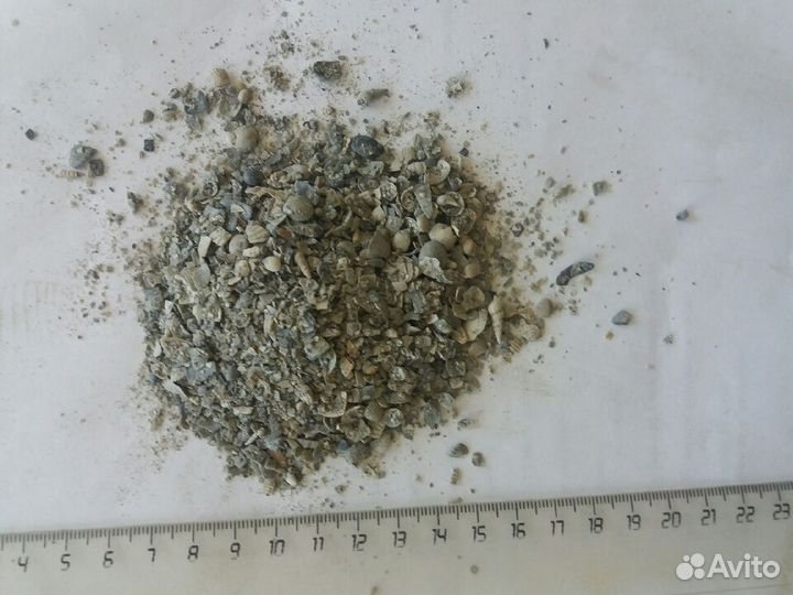 Ракушка кормовая