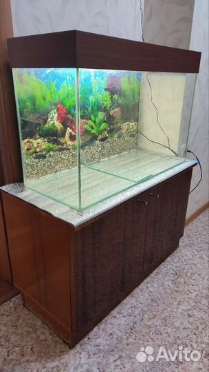 Аквариум