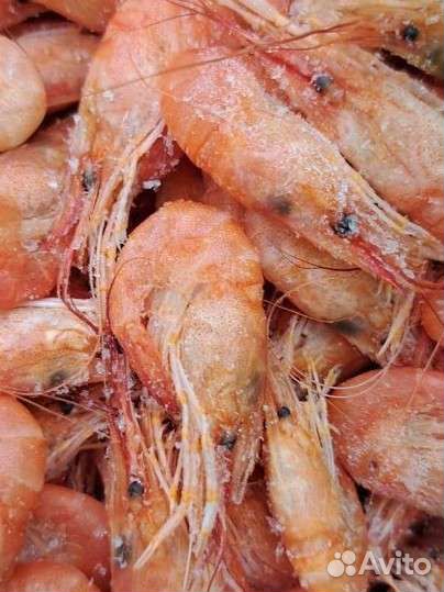 Азовская креветка