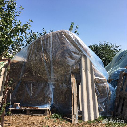 Сено в тюках