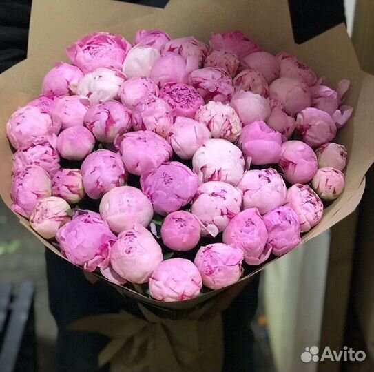 Пионы Цветы Розы