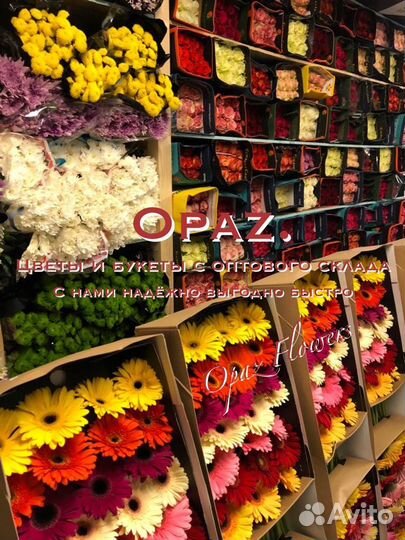 Гвоздика оптом от 25шт